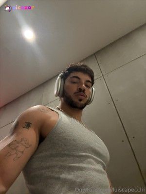 luiscapecchi N2