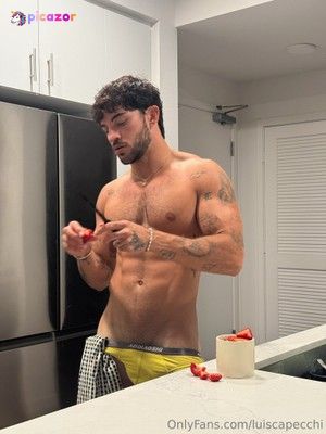 luiscapecchi N3