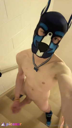 puptrellis video #14 photo n 14