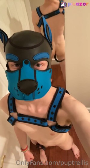 puptrellis video #19 photo n 19