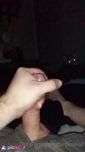 random_user88 video #13 photo n 13