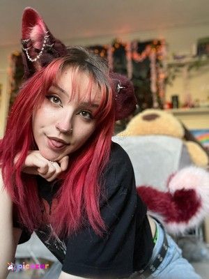 moronic-mouse photo #11 photo n 11