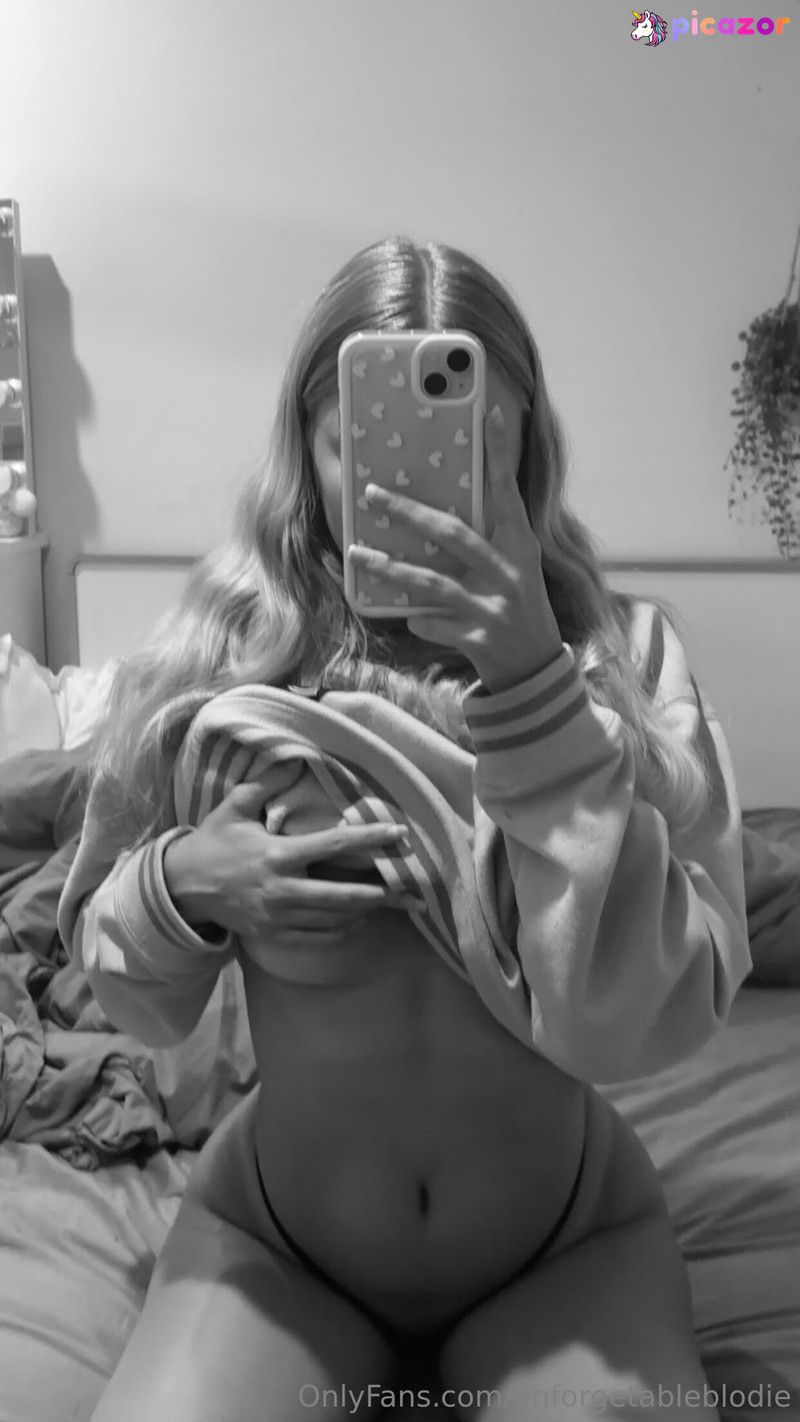 Unforgettable Blondie N2
