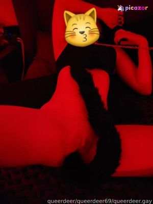 queerdeer69 N11