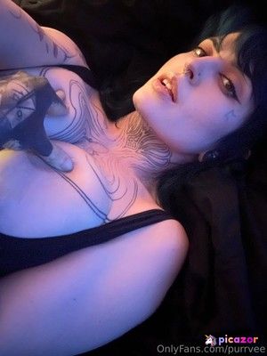purrvee photo #18 photo n 18