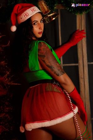 sofi-dream photo #29 photo n 29
