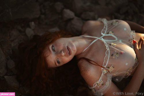 Myfoxyland  - Image