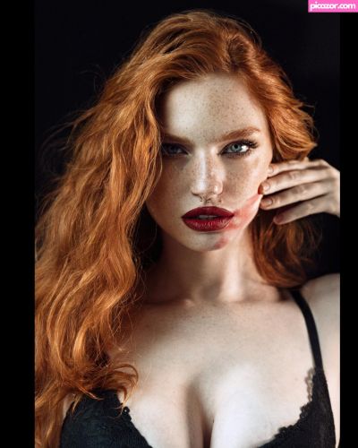 Myfoxyland  - Image