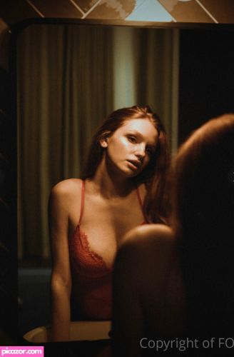 Myfoxyland  - Image