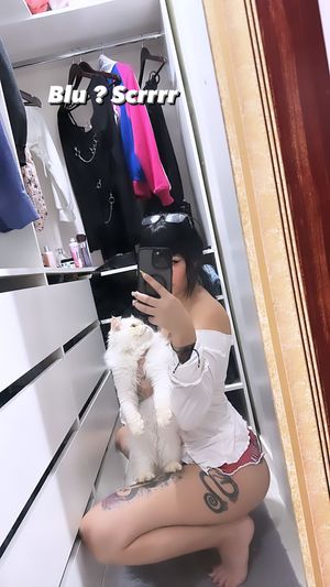 Yasmim Cat N35