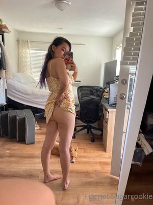 harriet-sugarcookie-1 photo #94 photo n 94