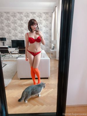harriet-sugarcookie-1 photo #270 photo n 270