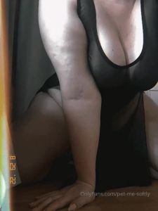 pet-me-softly N2