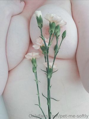 pet-me-softly N11