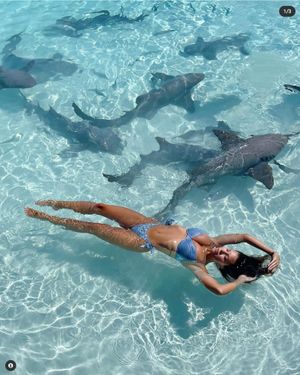 devin-brugman-1 photo #62 photo n 62