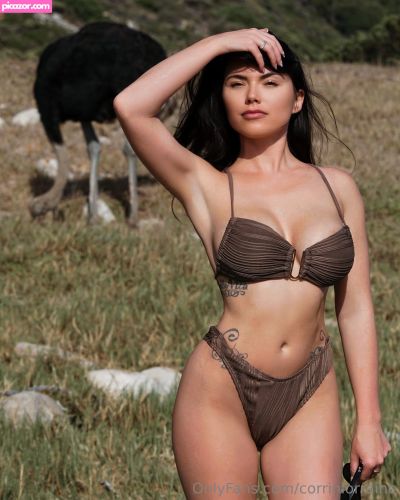 Corrin Lorraine - Image