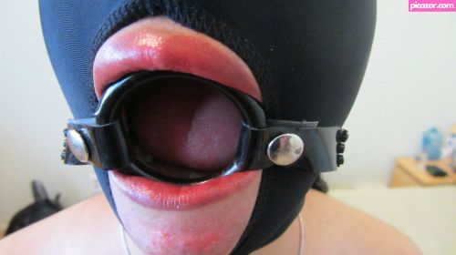 forcedobedience  - Image
