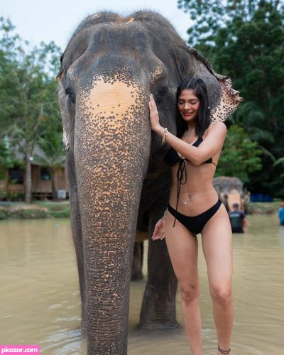 Sheynnis Palacios - Image
