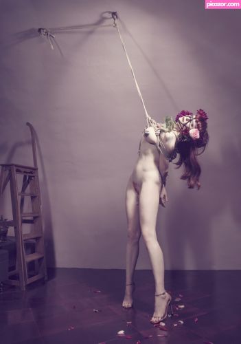 Betony Vernon - Image