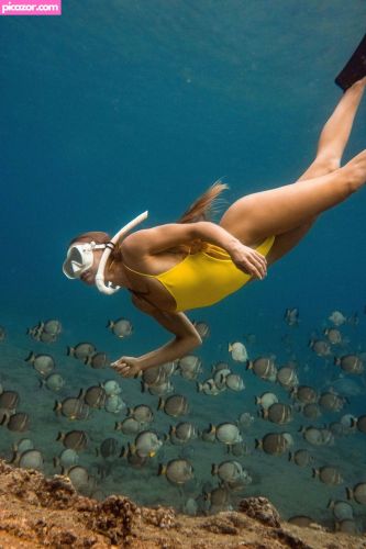 Chala Moves  - Image