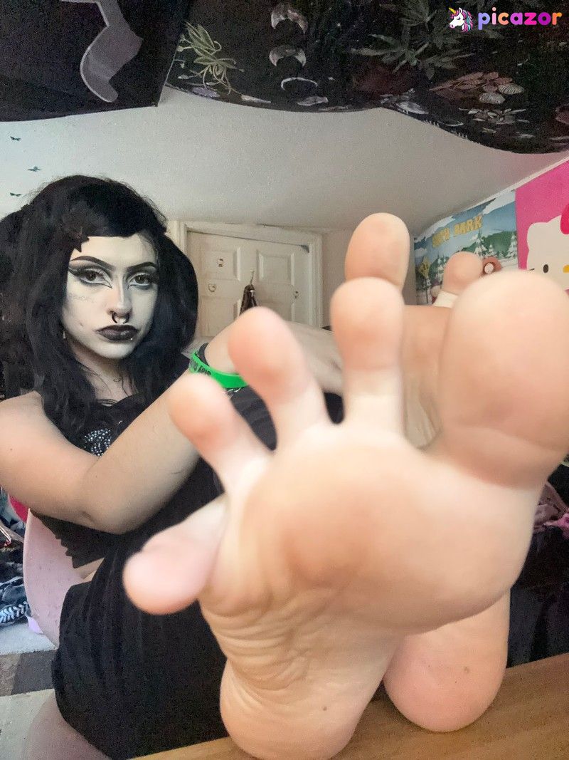 Pedigoddesslia N7