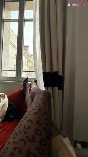 sjokz-1 photo #1 photo n 1