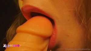 elizataskfree N11