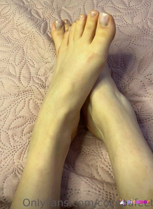 Cocopafeet - Image