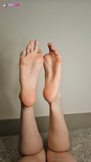 meisoles N2