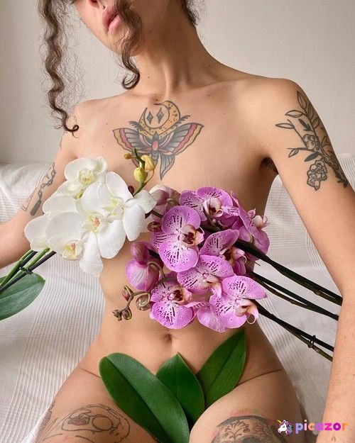 Imponderabile - Image
