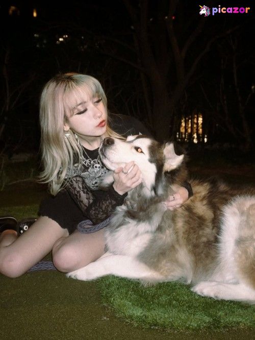 Iluvmeww - Image
