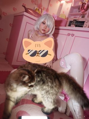 zinieq-cosplayer photo #1215 photo n 1215