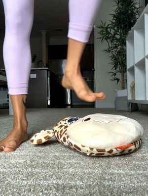 cocobonsolez N4
