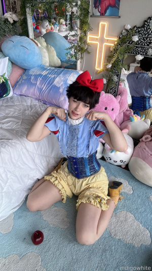 indigo-white-1 photo #6809 photo n 6809