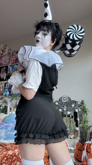 indigo-white-1 photo #8002 photo n 8002