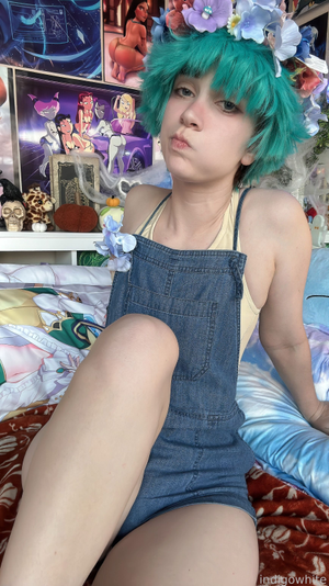 indigo-white-1 photo #9380 photo n 9380