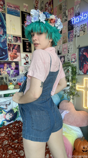 indigo-white-1 photo #9371 photo n 9371