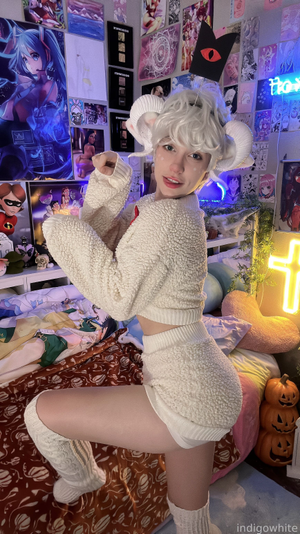 indigo-white-1 photo #9001 photo n 9001