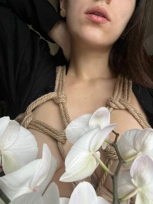 lunalovepixy  - Thumb