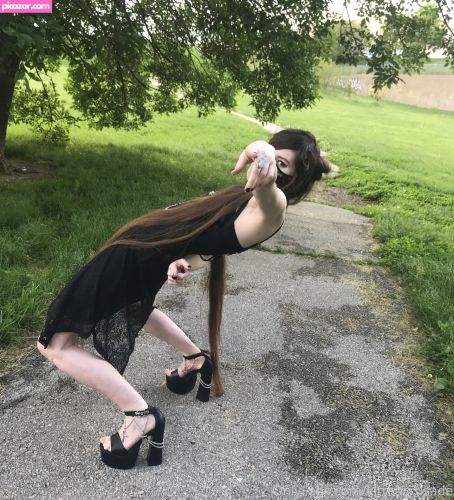 kittencrusade  - Image
