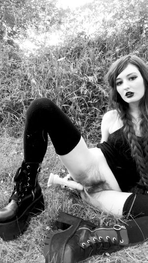 kittencrusade  N18