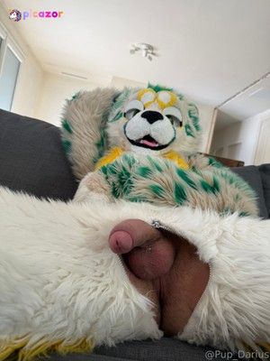 pup_darius photo #8 photo n 8