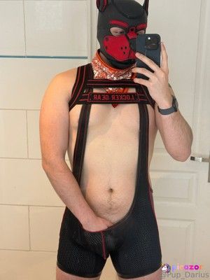 pup_darius photo #1 photo n 1