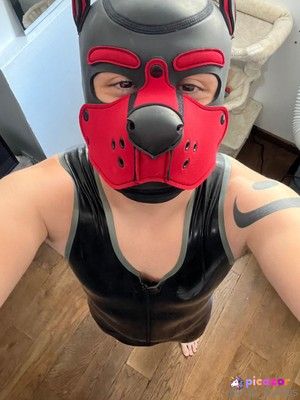 pup_darius photo #13 photo n 13