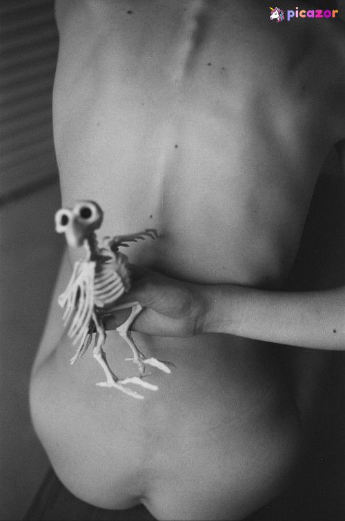 birkaiss - Image