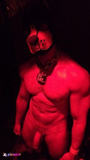 pupbuday photo #1 photo n 1