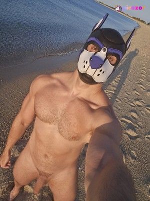 pupbuday photo #5 photo n 5