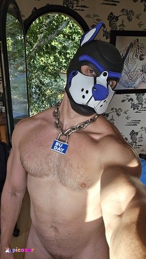pupbuday photo #12 photo n 12