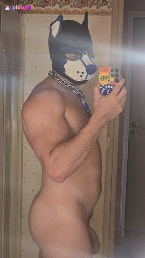 pupbuday photo #6 photo n 6