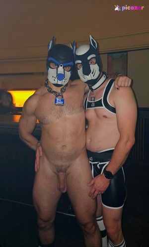 pupbuday photo #20 photo n 20